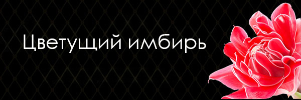 Цветущий имбирь