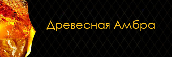 Древесная амбра