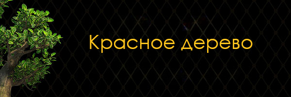 Красное дерево